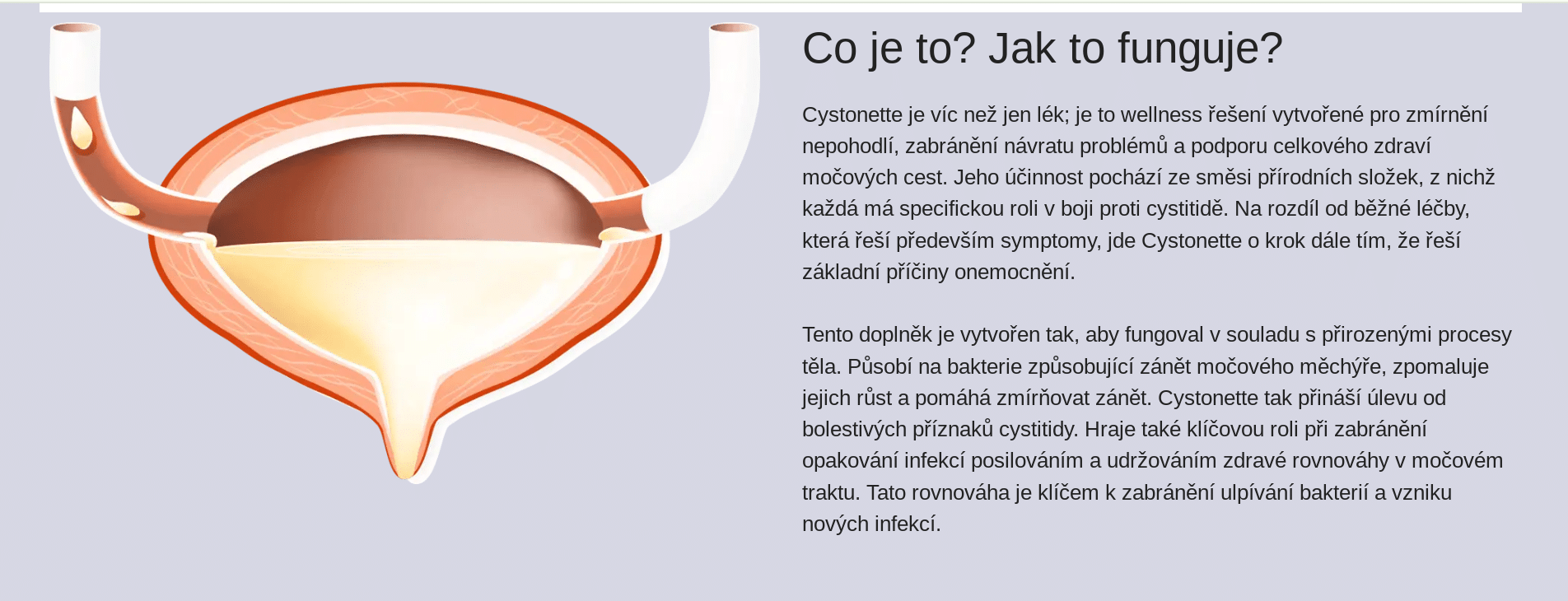 cystonette podvod recenze