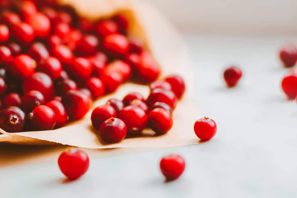 Barny's Cran-Urin megaPAC brusinky recenze